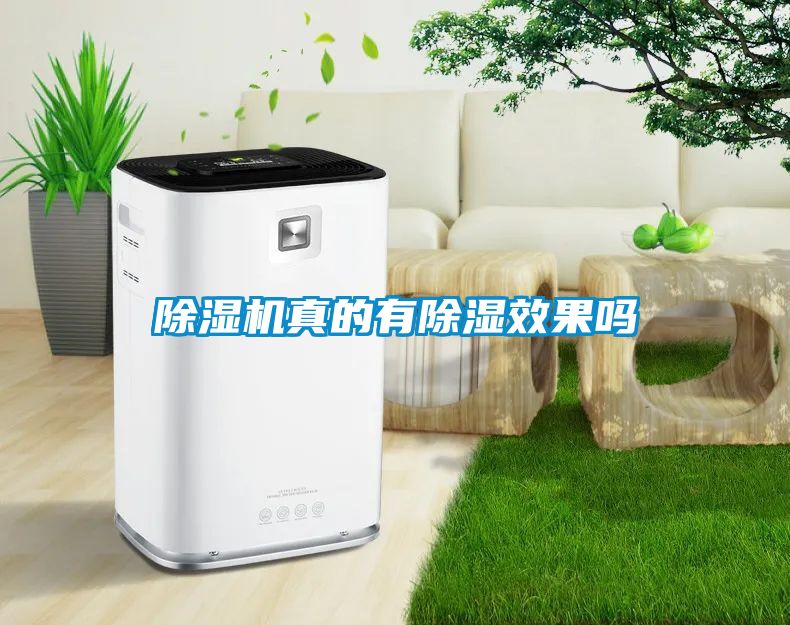 除濕機真的有除濕效果嗎