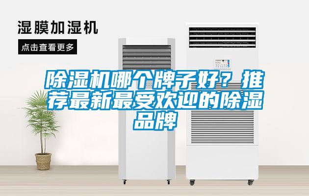 除濕機哪個(gè)牌子好？推薦最新最受歡迎的除濕品牌
