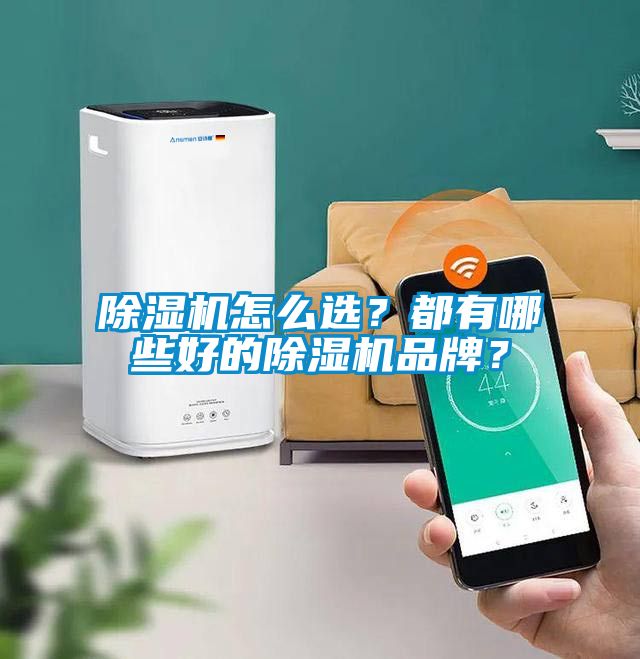 除濕機怎么選？都有哪些好的除濕機品牌？