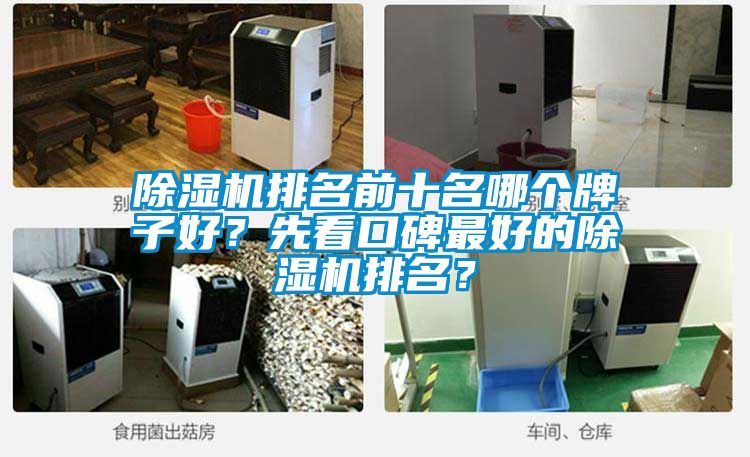 除濕機(jī)排名前十名哪個牌子好？先看口碑最好的除濕機(jī)排名？