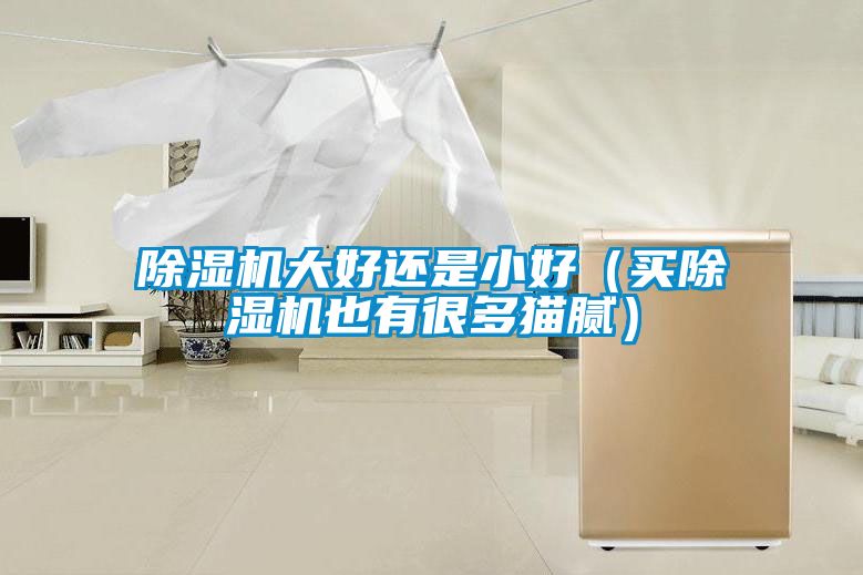 除濕機大好還是小好（買(mǎi)除濕機也有很多貓膩）