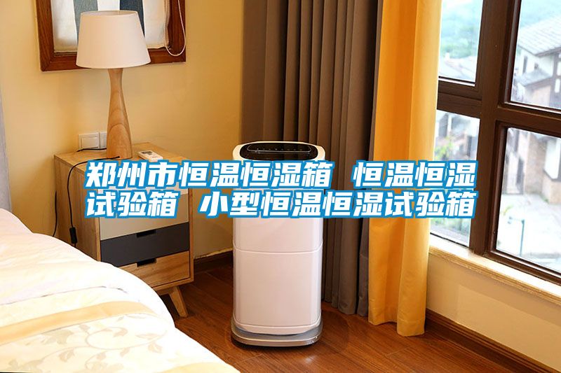 鄭州市恒溫恒濕箱 恒溫恒濕試驗箱 小型恒溫恒濕試驗箱