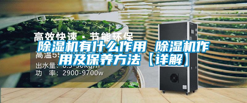 除濕機有什么作用 除濕機作用及保養(yǎng)方法【詳解】