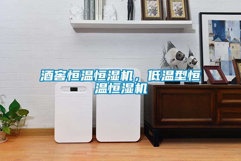 酒窖恒溫恒濕機，低溫型恒溫恒濕機