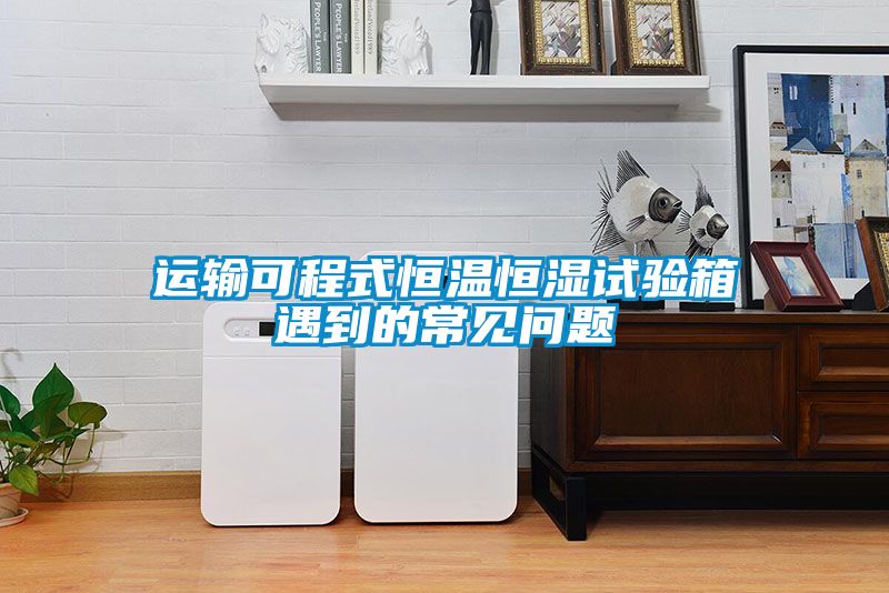 運輸可程式恒溫恒濕試驗箱遇到的常見(jiàn)問(wèn)題