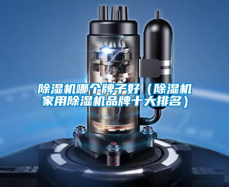 除濕機哪個(gè)牌子好（除濕機家用除濕機品牌十大排名）