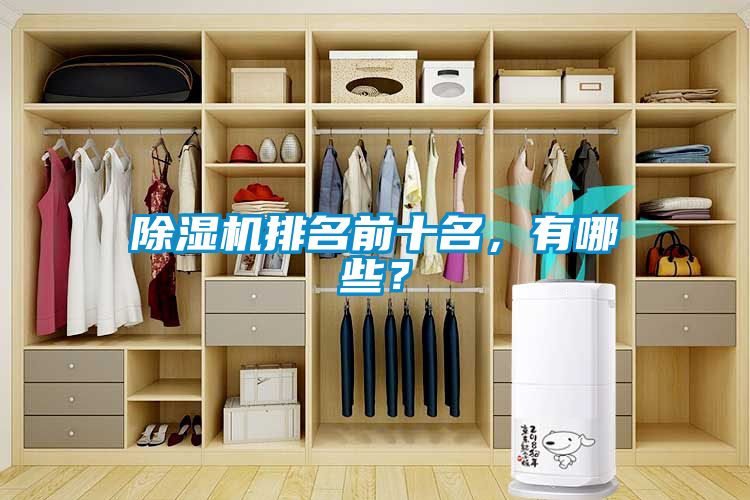 除濕機(jī)排名前十名，有哪些？