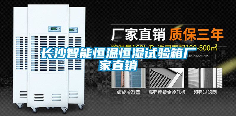 長(cháng)沙智能恒溫恒濕試驗箱廠(chǎng)家直銷(xiāo)