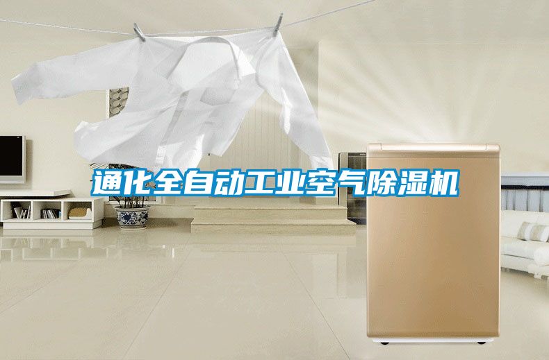 通化全自動(dòng)工業(yè)空氣除濕機