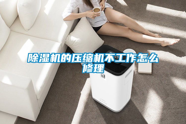 除濕機(jī)的壓縮機(jī)不工作怎么修理