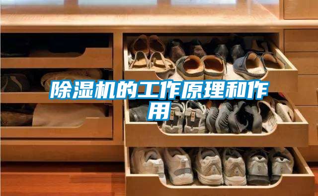 除濕機(jī)的工作原理和作用