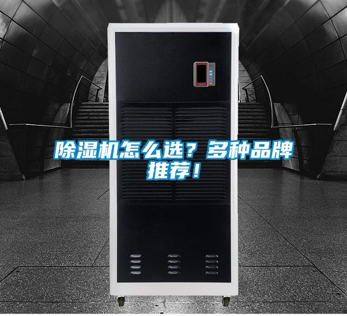除濕機(jī)怎么選？多種品牌推薦！