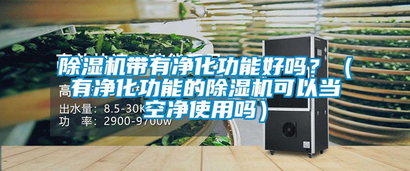 除濕機帶有凈化功能好嗎？（有凈化功能的除濕機可以當空凈使用嗎）