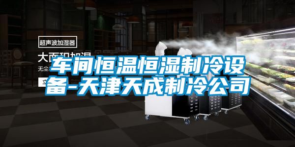 車(chē)間恒溫恒濕制冷設備-天津天成制冷公司