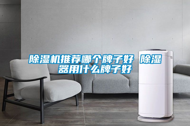 除濕機推薦哪個(gè)牌子好 除濕器用什么牌子好