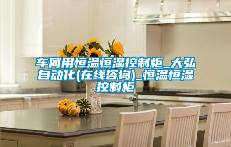 車(chē)間用恒溫恒濕控制柜_大弘自動(dòng)化(在線(xiàn)咨詢(xún))_恒溫恒濕控制柜