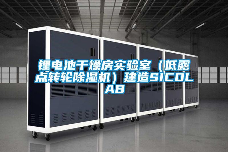 鋰電池干燥房實驗室（低露點轉(zhuǎn)輪除濕機）建造SICOLAB
