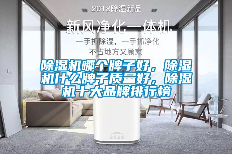 除濕機(jī)哪個(gè)牌子好，除濕機(jī)什么牌子質(zhì)量好，除濕機(jī)十大品牌排行榜