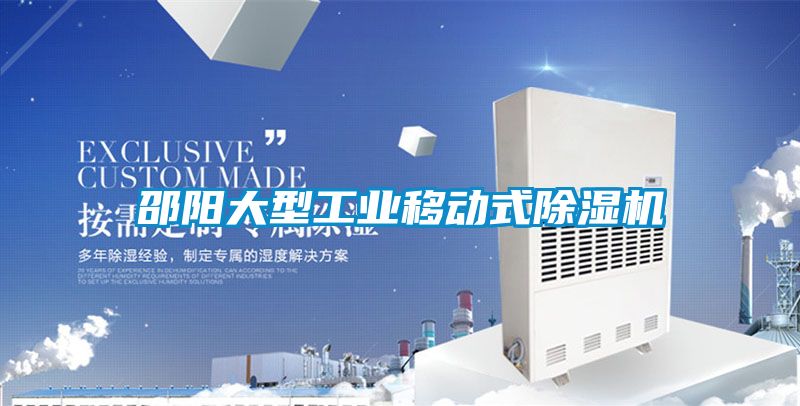 邵陽(yáng)大型工業(yè)移動(dòng)式除濕機