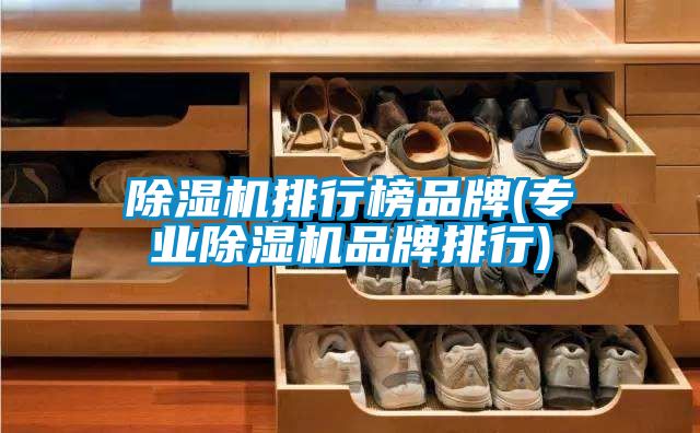 除濕機排行榜品牌(專(zhuān)業(yè)除濕機品牌排行)