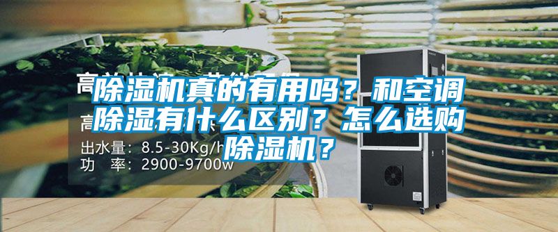 除濕機真的有用嗎？和空調(diào)除濕有什么區(qū)別？怎么選購除濕機？