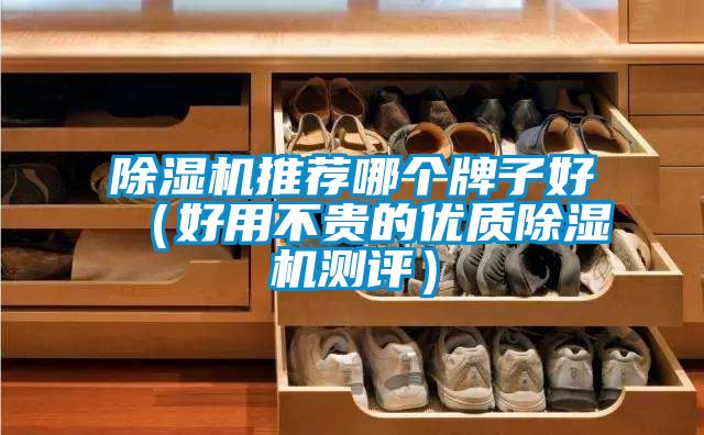 除濕機(jī)推薦哪個(gè)牌子好（好用不貴的優(yōu)質(zhì)除濕機(jī)測(cè)評(píng)）
