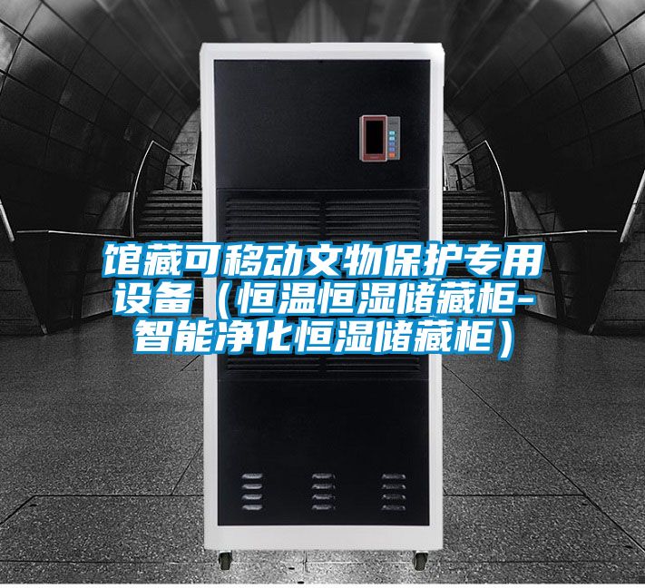 館藏可移動(dòng)文物保護專(zhuān)用設備（恒溫恒濕儲藏柜-智能凈化恒濕儲藏柜）