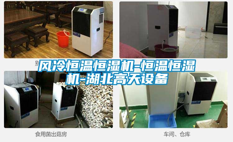 風(fēng)冷恒溫恒濕機-恒溫恒濕機-湖北高天設備