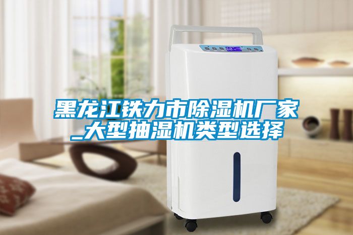 黑龍江鐵力市除濕機廠(chǎng)家_大型抽濕機類(lèi)型選擇