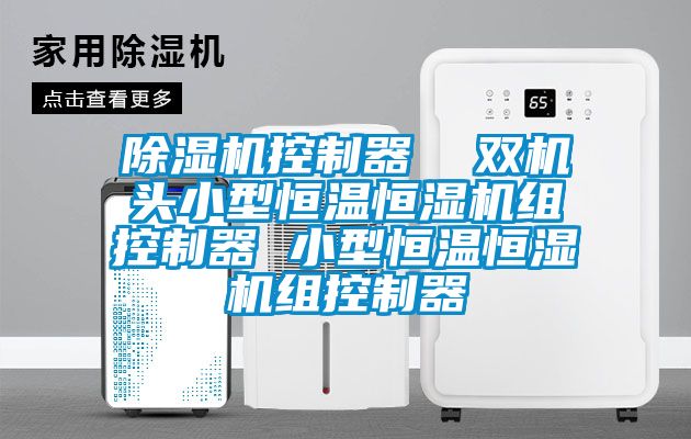 除濕機(jī)控制器  雙機(jī)頭小型恒溫恒濕機(jī)組控制器 小型恒溫恒濕機(jī)組控制器