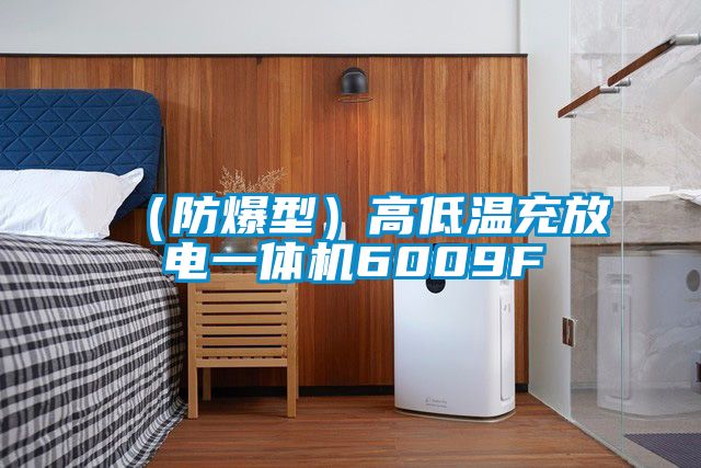 （防爆型）高低溫充放電一體機(jī)6009F