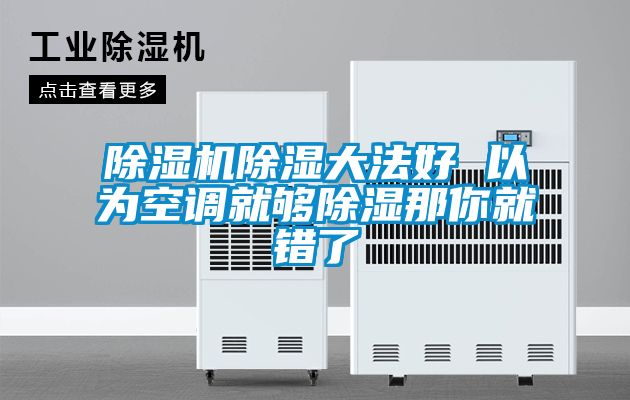 除濕機除濕大法好 以為空調就夠除濕那你就錯了