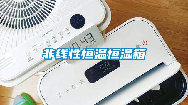 非線(xiàn)性恒溫恒濕箱