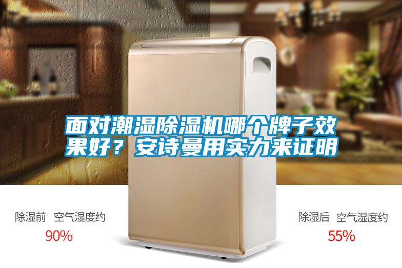面對潮濕除濕機(jī)哪個牌子效果好？安詩曼用實力來證明