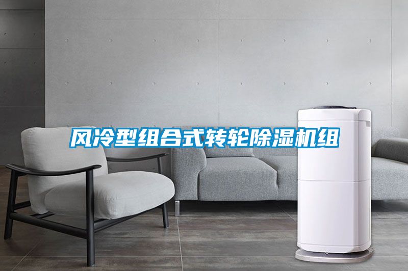 風(fēng)冷型組合式轉輪除濕機組