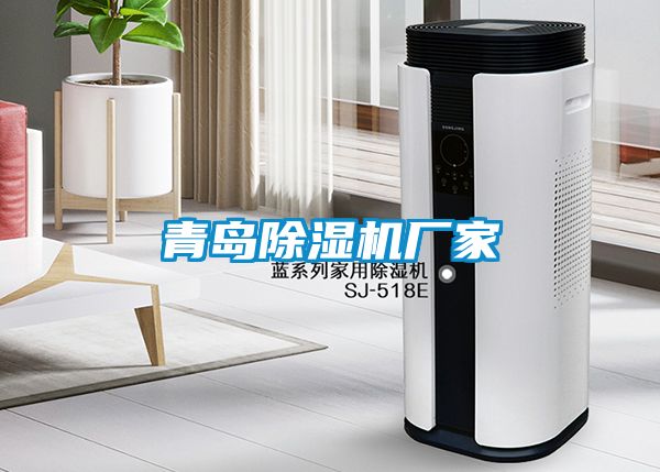 青島除濕機廠(chǎng)家