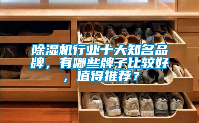 除濕機行業(yè)十大知名品牌，有哪些牌子比較好，值得推薦？