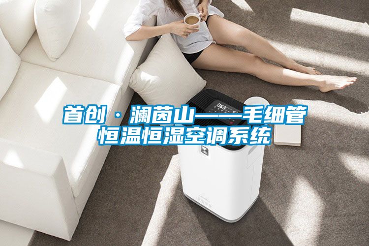 首創(chuàng)·瀾茵山——毛細(xì)管恒溫恒濕空調(diào)系統(tǒng)