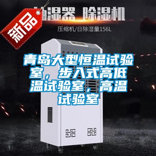 青島大型恒溫試驗室，步入式高低溫試驗室，高溫試驗室
