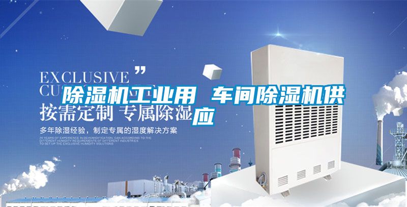 除濕機工業(yè)用 車(chē)間除濕機供應