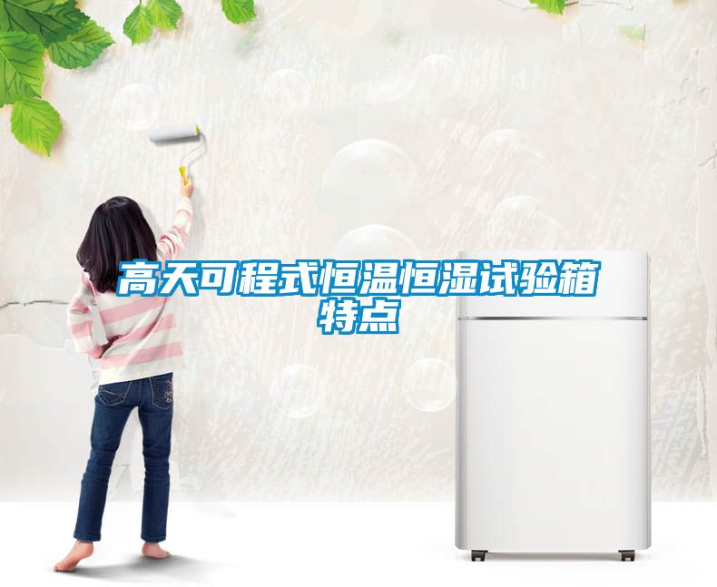 高天可程式恒溫恒濕試驗箱特點(diǎn)