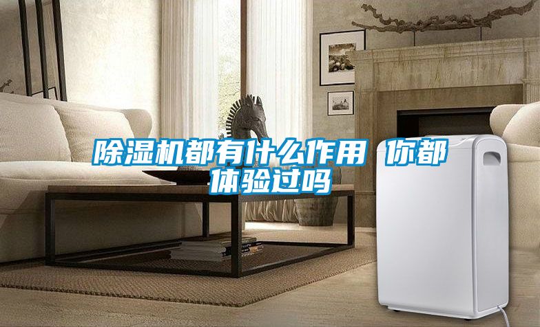 除濕機都有什么作用 你都體驗過(guò)嗎