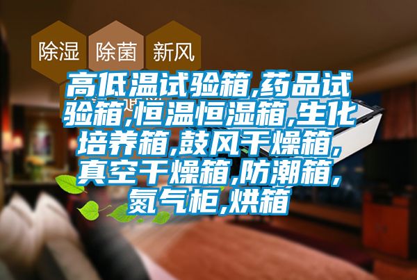 高低溫試驗箱,藥品試驗箱,恒溫恒濕箱,生化培養箱,鼓風(fēng)干燥箱,真空干燥箱,防潮箱,氮氣柜,烘箱