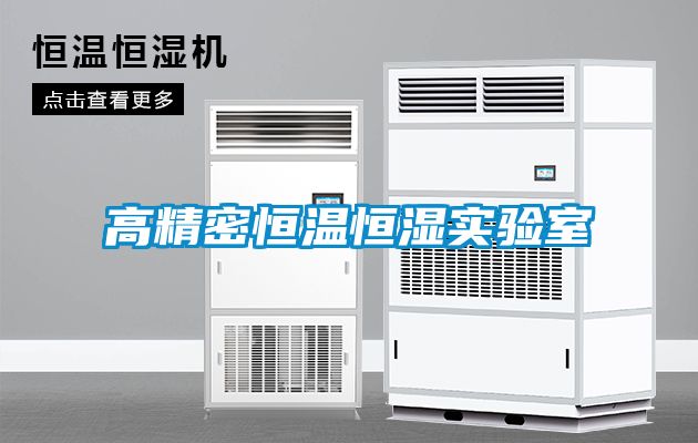 高精密恒溫恒濕實(shí)驗室