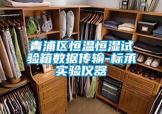 青浦區恒溫恒濕試驗箱數據傳輸-標承實(shí)驗儀器