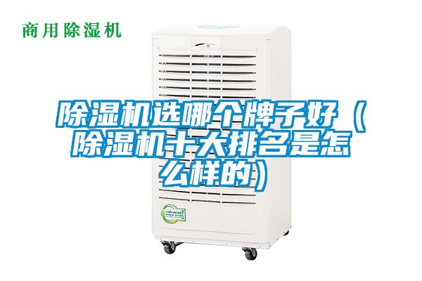 除濕機(jī)選哪個(gè)牌子好（除濕機(jī)十大排名是怎么樣的）