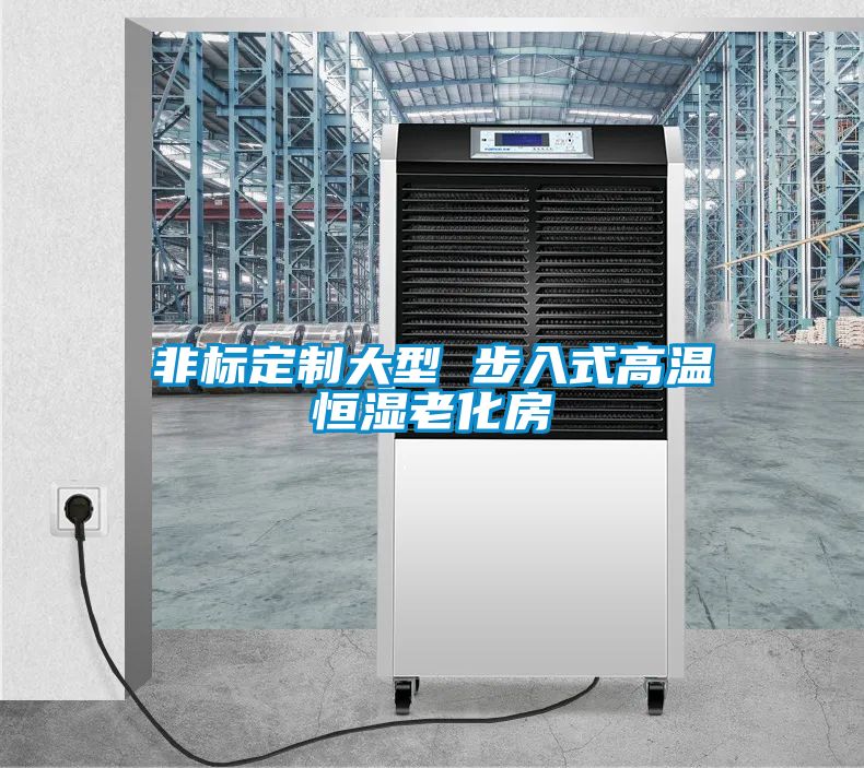 非標定制大型 步入式高溫恒濕老化房