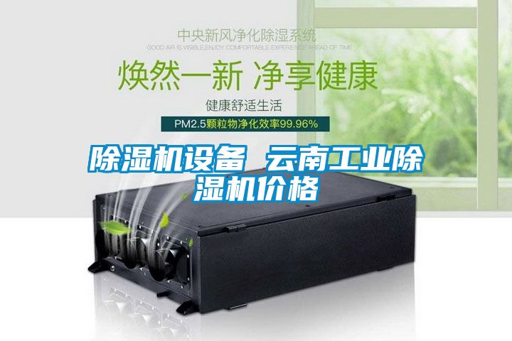 除濕機(jī)設(shè)備 云南工業(yè)除濕機(jī)價(jià)格