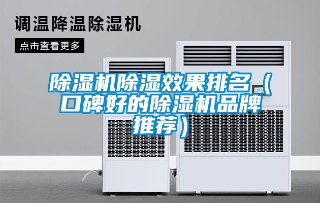 除濕機除濕效果排名（口碑好的除濕機品牌推薦）