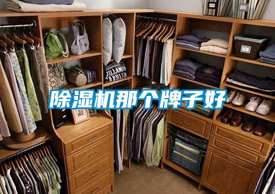 除濕機(jī)那個(gè)牌子好